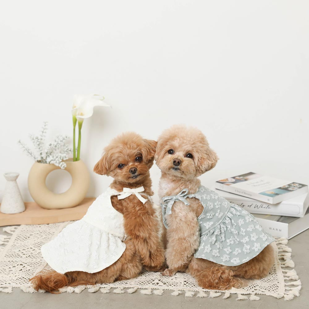 Daisy Dress