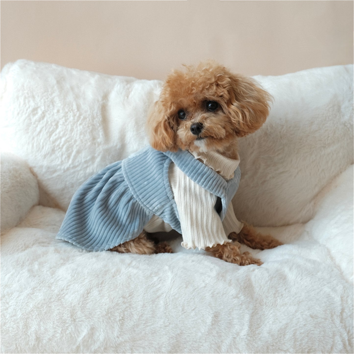 Corduroy Overall Dress