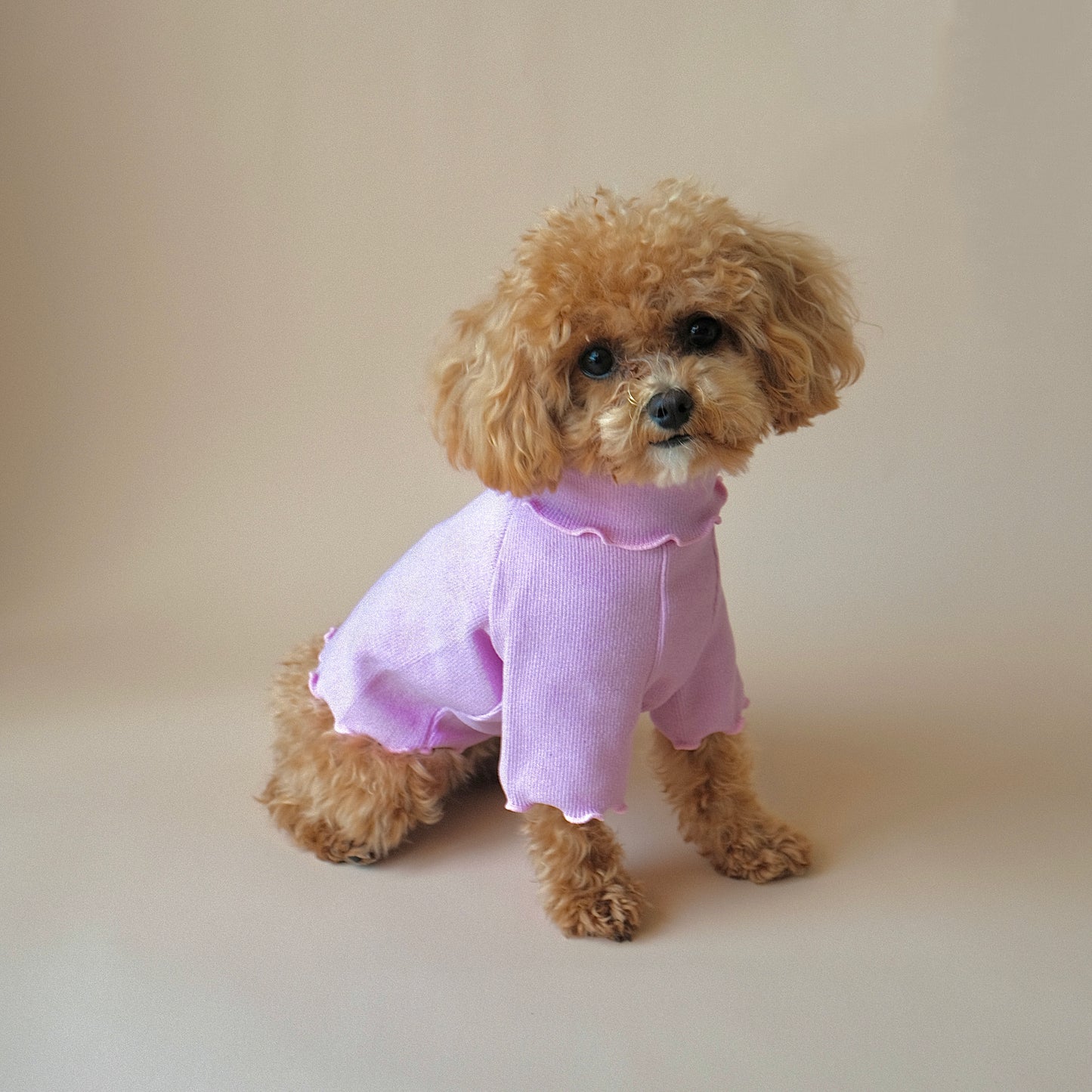 Scalloped Turtleneck