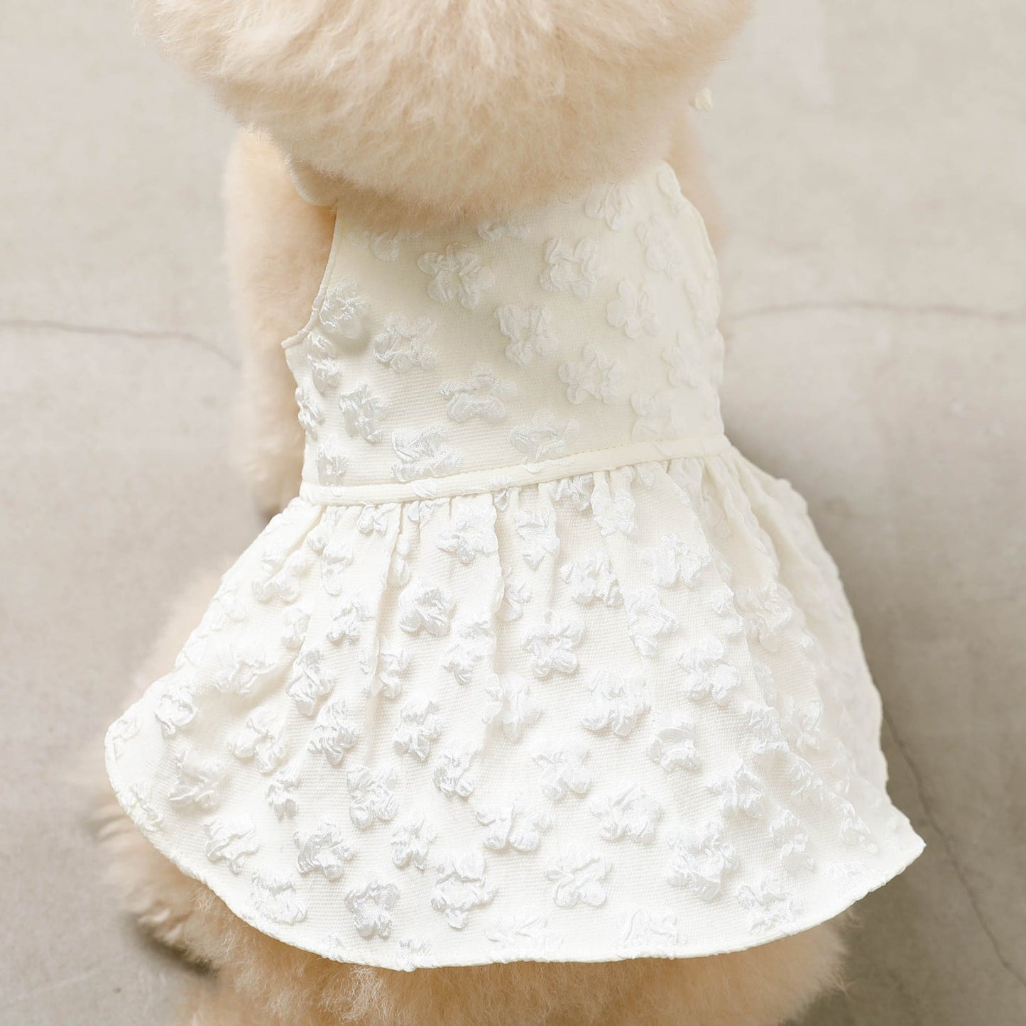 Daisy Dress
