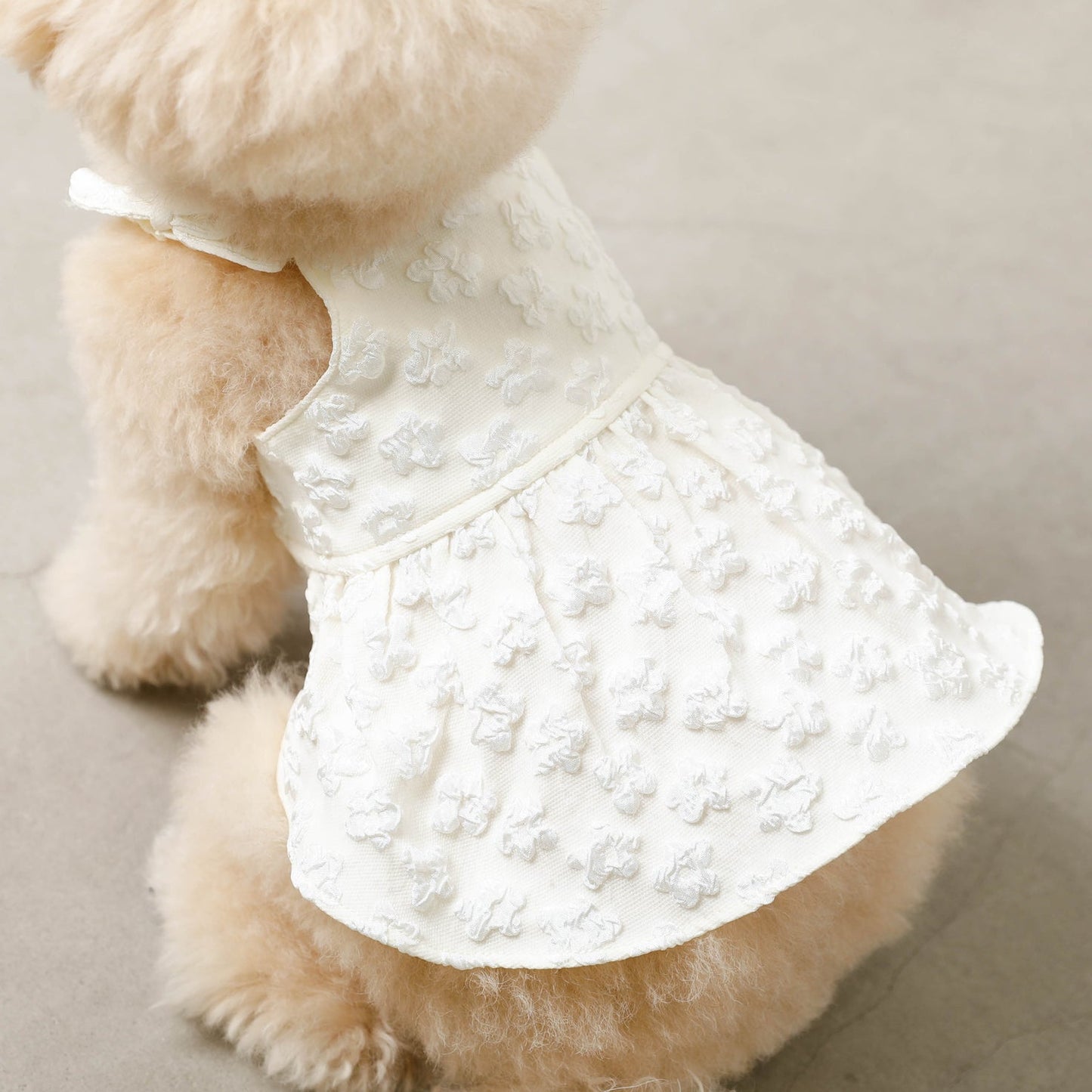 Daisy Dress
