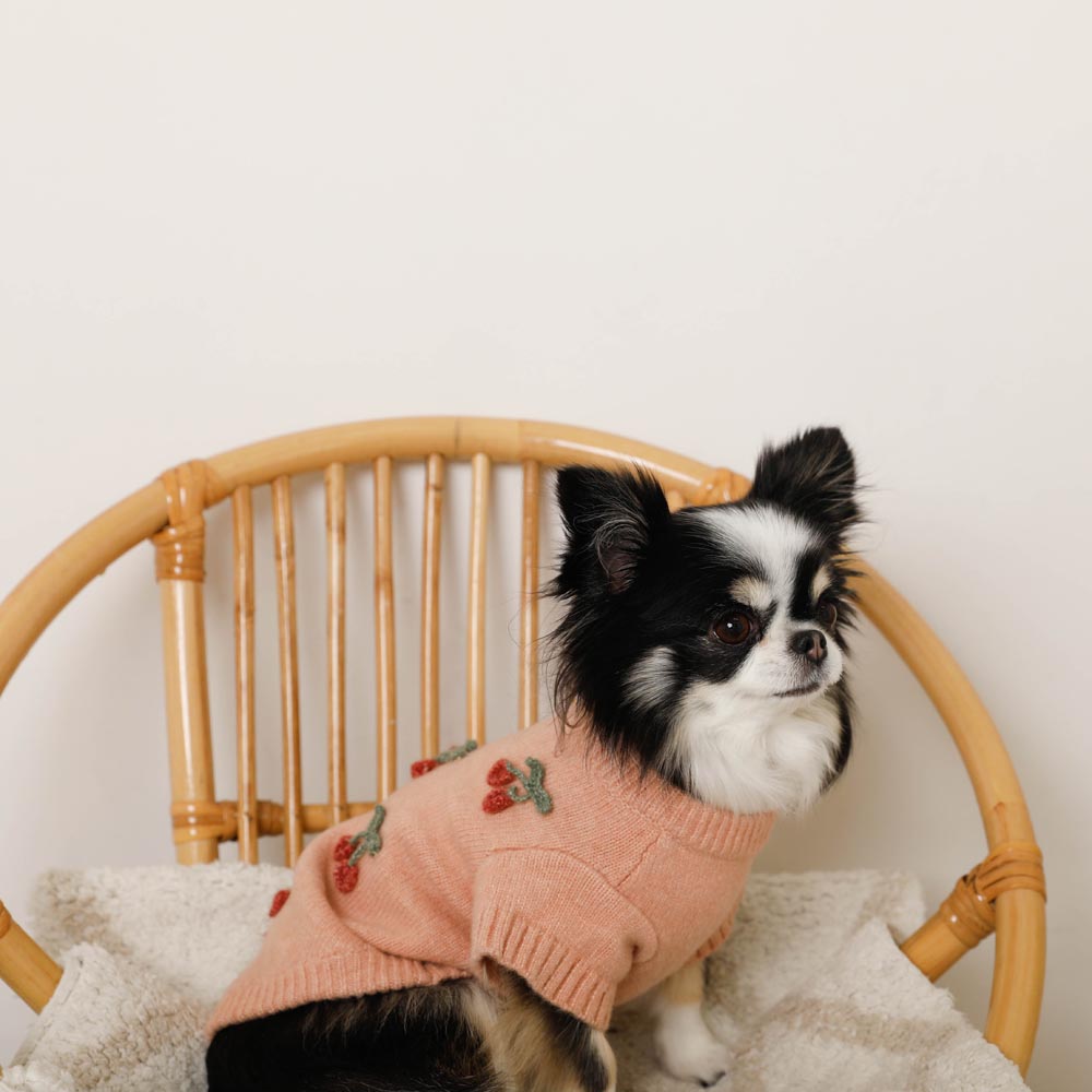 Cherry Sweater