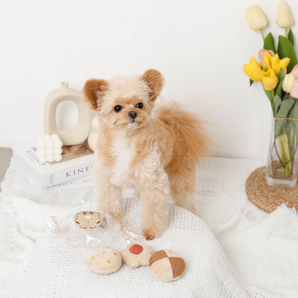 Cookie Toy Set